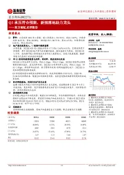 东方雨虹点评报告：Q3承压符合预期，新规落地助力龙头