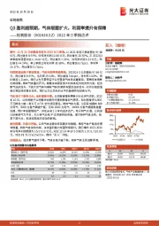 2022年三季报点评:Q3盈利超预期,气体版图扩大,利润率提升有保障
