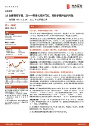 2022年三季报点评:Q3业绩表现不俗、双十一预售实现开门红,期待多品牌协同并进