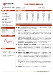 泸州老窖:利润略超预期,配置性价比凸显
