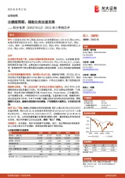 2022年三季报点评：业绩超预期，储能业务加速发展