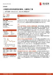 2022年三季报点评：三季度受去库存和原料涨价影响，业绩同比下滑