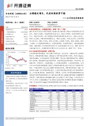 公司信息更新报告：业绩稳定增长，先进封装前景可期