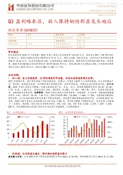 Q3盈利略承压，收入保持韧性彰显龙头地位