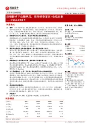 王府井点评报告：疫情影响下业绩承压，期待消费复苏+免税启航