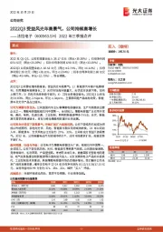 2022年三季报点评：2022Q3受益风光车高景气，公司持续高增长