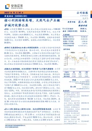 核心利润持续高增,天然气全产业链护城河优势凸显