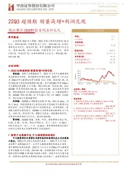 系列点评之九：22Q3超预期 销量高增+利润兑现