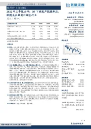 2022年三季报点评：Q3下游减产胶膜承压，胶膜龙头盈利引领全行业