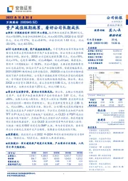 资产减值短期拖累,看好公司长期成长