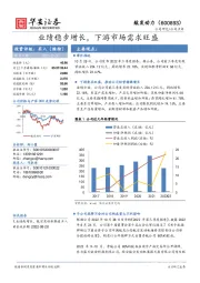 业绩稳步增长,下游市场需求旺盛