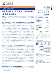 Q3整体营收/业绩承压，本部扣非业绩实现正向增长