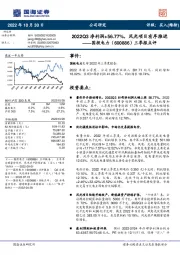 三季报点评：2022Q3净利润+56.77%，风光项目有序推进