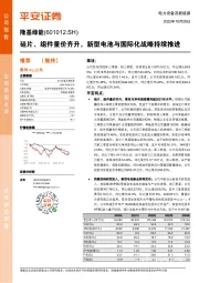 硅片、组件量价齐升，新型电池与国际化战略持续推进