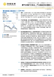 景气回调矿价承压，产业链延伸定调潜力