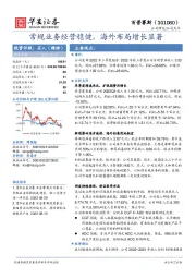 常规业务经营稳健,海外布局增长显著