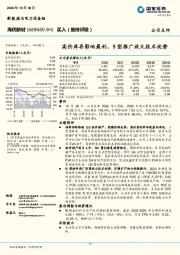 高价库存影响盈利，N型推广放大技术优势