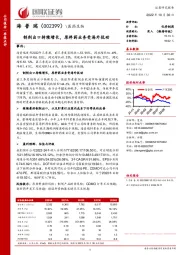 制剂出口持续增长,原料药业务受海外扰动
