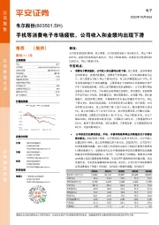 手机等消费电子市场疲软，公司收入和业绩均出现下滑