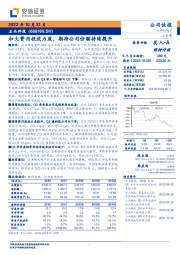 加大费用投放力度，期待公司份额持续提升