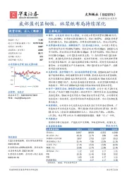 底部盈利显韧性，林浆纸布局持续深化