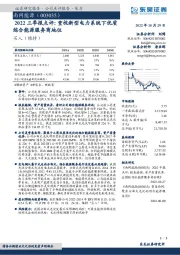 2022三季报点评：重视新型电力系统下优质综合能源服务商地位