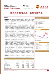 储能业务快速发展，盈利有望恢复