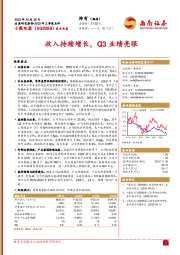 收入持续增长，Q3业绩亮眼