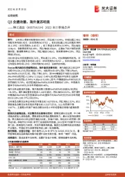 2022年三季报点评：Q3业绩改善，海外复苏明显