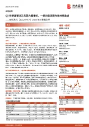 2022年三季报点评:Q3单季度营收及利润大幅增长,一核四极发展布局持续推进