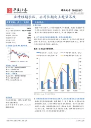 业绩短期承压，公司长期向上趋势不改