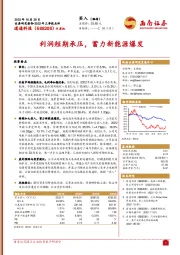 利润短期承压,蓄力新能源爆发
