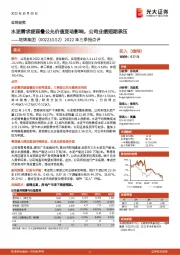 2022年三季报点评：水泥需求疲弱叠公允价值变动影响，公司业绩短期承压