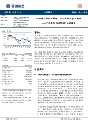 点评报告：扣非净利润同比再增，化工新材料基业渐成