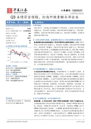 Q3业绩符合预期，打造纤维素醚头部企业