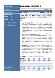 营收增长稳健,区域有序扩张