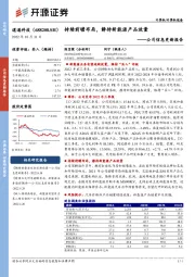 公司信息更新报告:持续前瞻布局,静待新能源产品放量