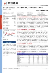 公司信息更新报告：公司业绩稳健增长，化工新材料白马未来可期