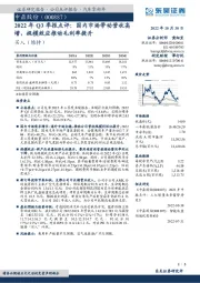 2022年Q3季报点评：国内市场带动营收高增，规模效应推动毛利率提升