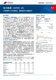 三季度景气下行业绩承压，煤制烯烃龙头稳健成长