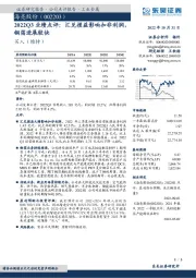2022Q3业绩点评:汇兑损益影响扣非利润,铜箔进展较快
