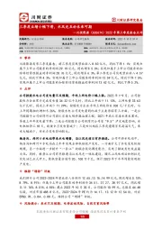 2022年第三季度报告点评：三季度业绩小幅下滑，水风光互补未来可期