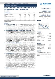 2022年三季报点评：疫情扰动下短期需求承压，受益于民用锦纶66扩容机遇、长期发展向好