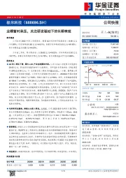 业绩暂时承压,关注研发驱动下的长期表现