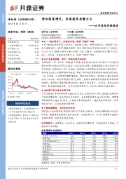 公司信息更新报告：营收恢复增长，多渠道布局潜力大