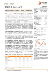 钛铜成果打破海外主导格局,新材料下游有望回暖