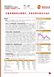 电量高增驱动业绩增长，多维优势巩固龙头地位