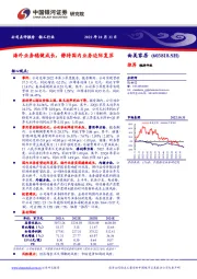 海外业务稳健成长，静待国内业务边际复苏