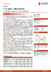 2022年三季报点评:Q3收入高增长,前端业务积极出海