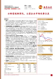 云转型逐渐深化,大型企业市场优势凸显